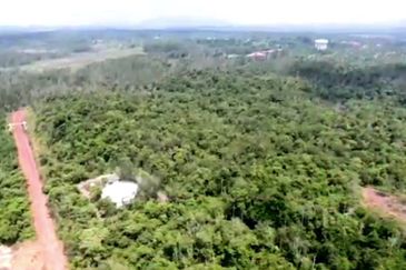 Negeri Sembilan Tampin Gemas 123 Acres Flat Empty Land for SALE🔥