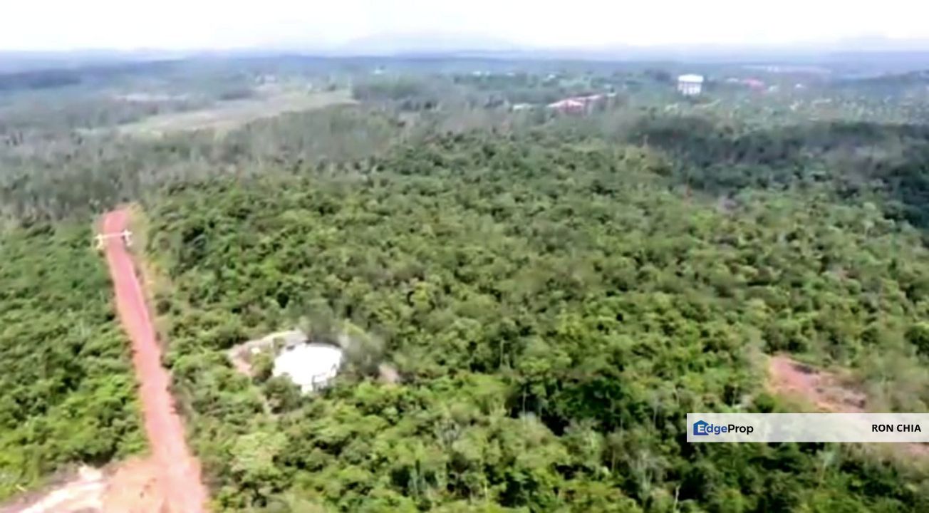 Negeri Sembilan Tampin Gemas 123 Acres Flat Empty Land for SALE🔥, Negeri Sembilan, Tampin