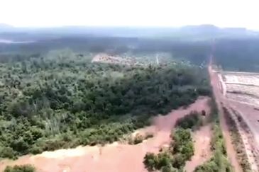 Negeri Sembilan Tampin Gemas 123 Acres Flat Empty Land for SALE🔥