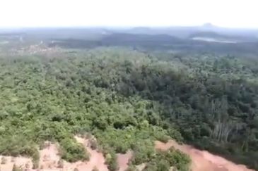 Negeri Sembilan Tampin Gemas 123 Acres Flat Empty Land for SALE🔥