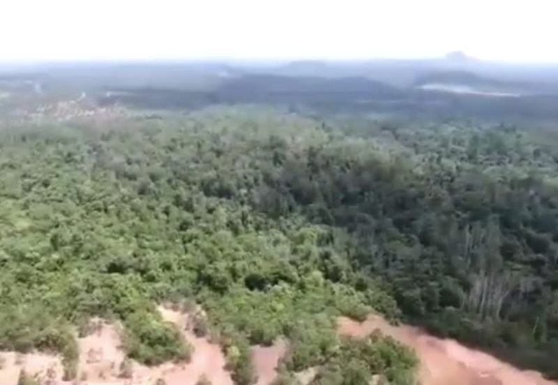 Negeri Sembilan Tampin Gemas 123 Acres Flat Empty Land for SALE🔥