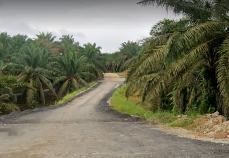 Senai 21 Acres Zoning Industrial Land for SALE🔥