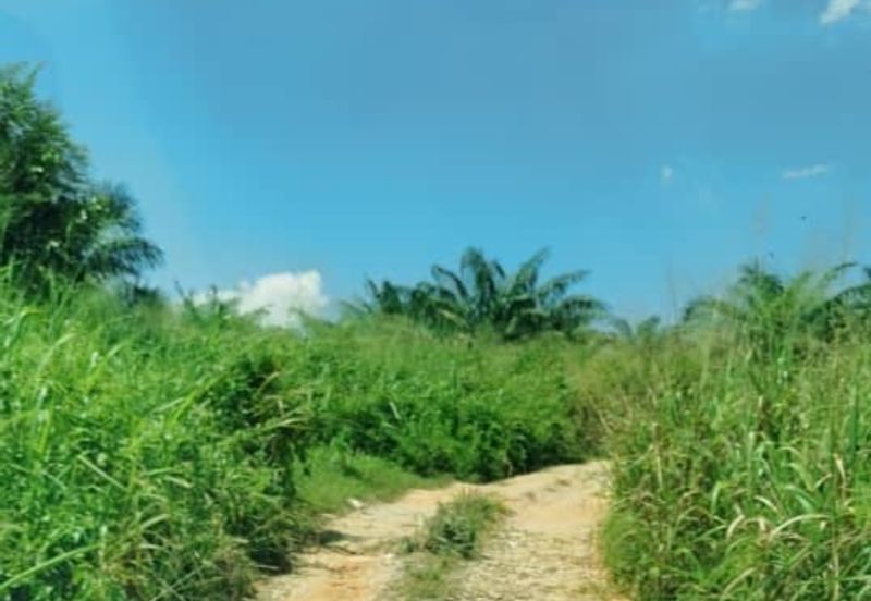 Senai 21 Acres Zoning Industrial Land for SALE🔥