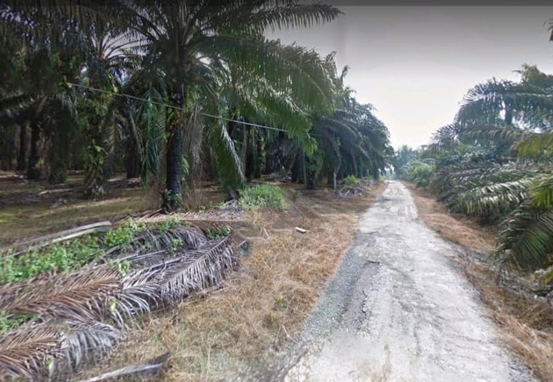 Senai 21 Acres Zoning Industrial Land for SALE🔥