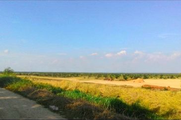 Perak Teluk Intan 3800 Acres Palm Oil Land for SALE🔥