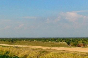 Perak Teluk Intan 3800 Acres Palm Oil Land for SALE🔥