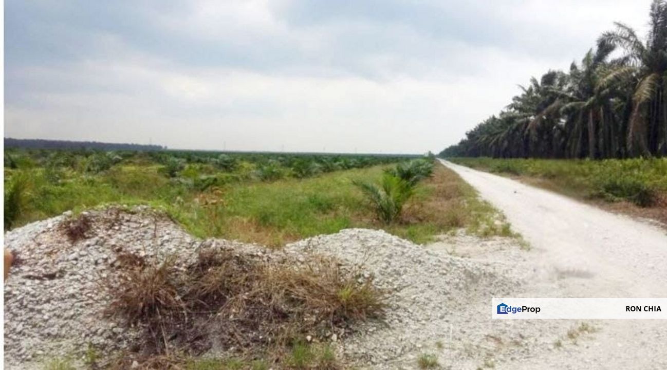 Perak Teluk Intan 3800 Acres Palm Oil Land for SALE🔥, Perak, Teluk Intan