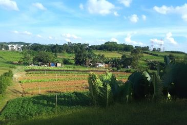 Johor Saleng Taman Sutera 12 Acres Zoning Commercial Land for SALE🔥