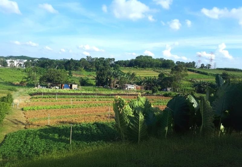 Johor Saleng Taman Sutera 12 Acres Zoning Commercial Land for SALE🔥