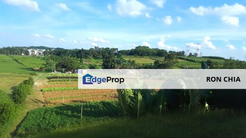 Johor Saleng Taman Sutera 12 Acres Zoning Commercial Land for SALE🔥, Johor, Kulai