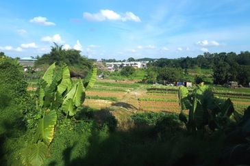 Johor Saleng Taman Sutera 12 Acres Zoning Commercial Land for SALE🔥