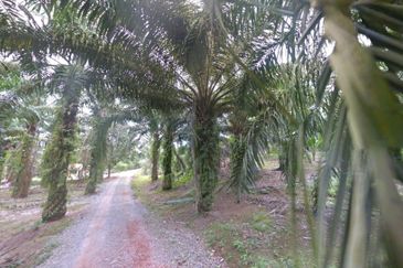 Johor Simpang Renggam Kawasan Perindustrian IKS 41 Acres Zoning Residential Development Land for SALE