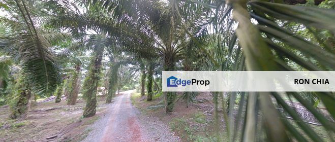 Johor Simpang Renggam Kawasan Perindustrian IKS 41 Acres Zoning Residential Development Land for SALE, Johor, Simpang Renggam