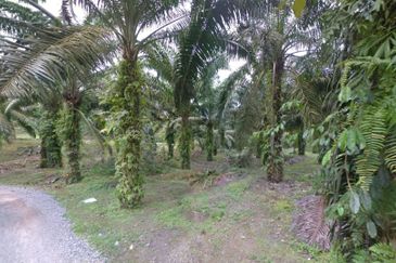 Johor Simpang Renggam Kawasan Perindustrian IKS 41 Acres Zoning Residential Development Land for SALE