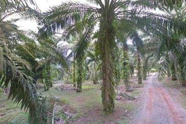 Johor Simpang Renggam Kawasan Perindustrian IKS 41 Acres Zoning Residential Development Land for SALE