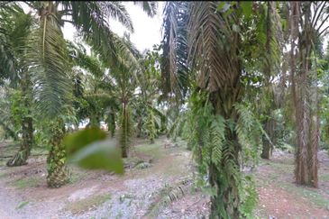 Johor Simpang Renggam Kawasan Perindustrian IKS 41 Acres Zoning Residential Development Land for SALE