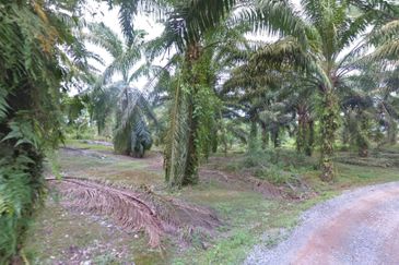Johor Simpang Renggam Kawasan Perindustrian IKS 41 Acres Zoning Residential Development Land for SALE
