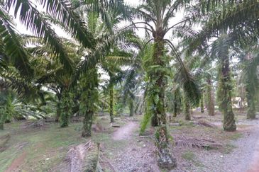 Johor Simpang Renggam Kawasan Perindustrian IKS 41 Acres Zoning Residential Development Land for SALE