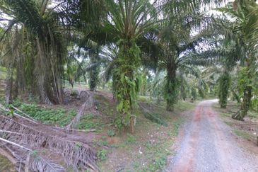 Johor Simpang Renggam Kawasan Perindustrian IKS 41 Acres Zoning Residential Development Land for SALE