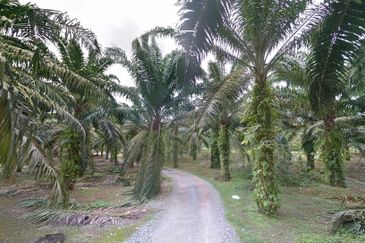 Johor Simpang Renggam Kawasan Perindustrian IKS 41 Acres Zoning Residential Development Land for SALE