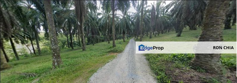 Seri Alam 31 Acres Development Land for SALE‼️, Johor, Masai