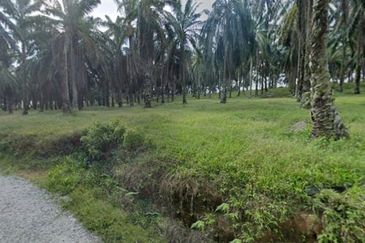 Seri Alam 31 Acres Development Land for SALE‼️