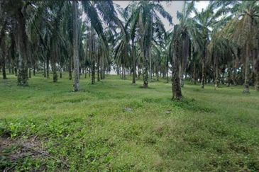 Seri Alam 31 Acres Development Land for SALE‼️