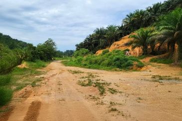 Kelantan Gua Musang Limau Kasturi 1051 Acres Palm Oil Land for SALE‼️