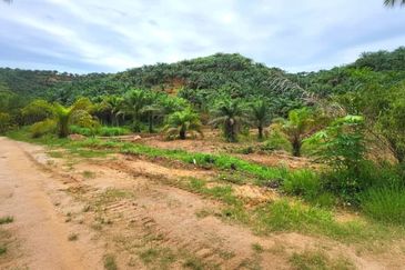 Kelantan Gua Musang Limau Kasturi 1051 Acres Palm Oil Land for SALE‼️