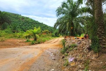Kelantan Gua Musang Limau Kasturi 1051 Acres Palm Oil Land for SALE‼️