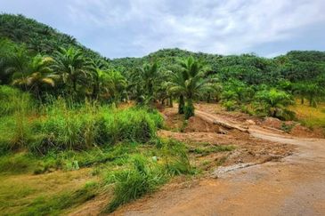 Kelantan Gua Musang Limau Kasturi 1051 Acres Palm Oil Land for SALE‼️