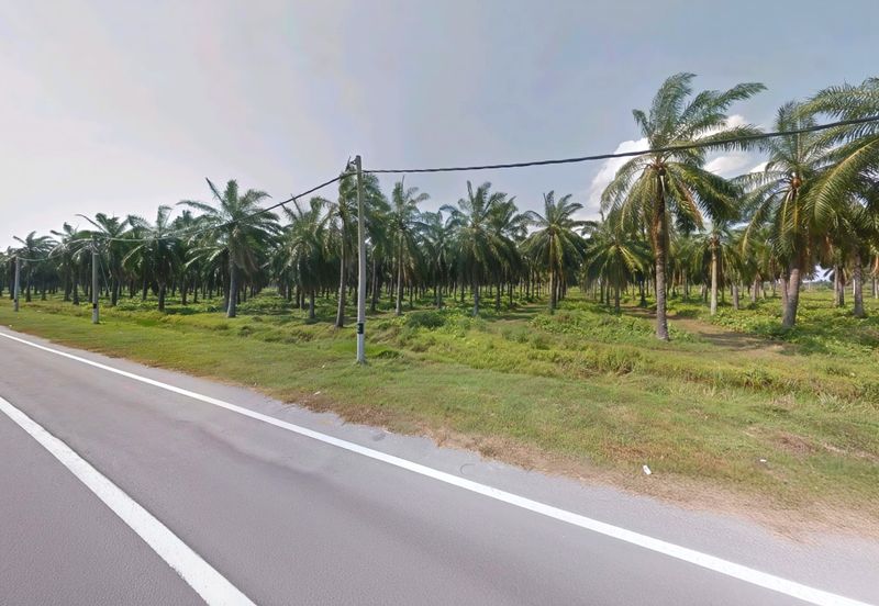 Selangor Sepang Pelek 双溪比力 616 Acres Mixed Development Land for SALE‼️