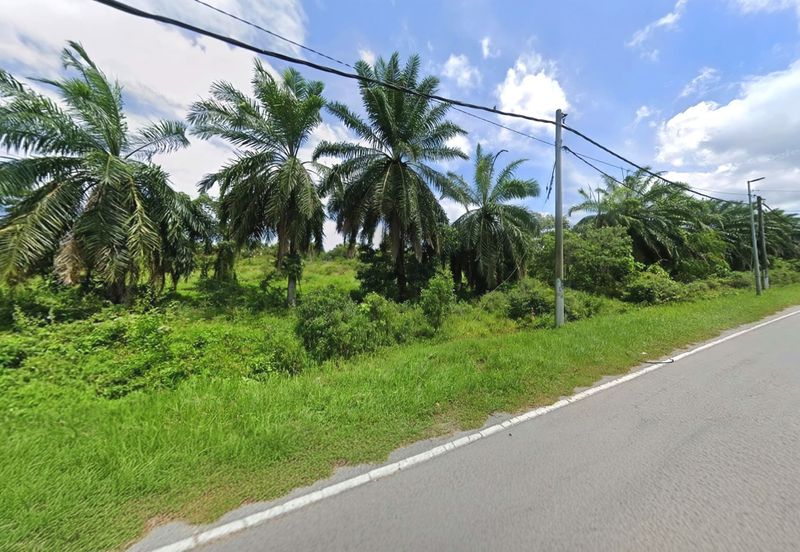 Selangor Sepang Pelek 双溪比力 616 Acres Mixed Development Land for SALE‼️