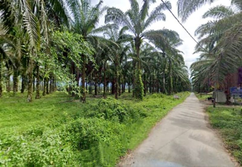 Selangor Hulu Selangor Bandar Hulu Bernam Tanjung Malim 802 acres CONVERTED Mixed Deverlopment Land for SALE‼️