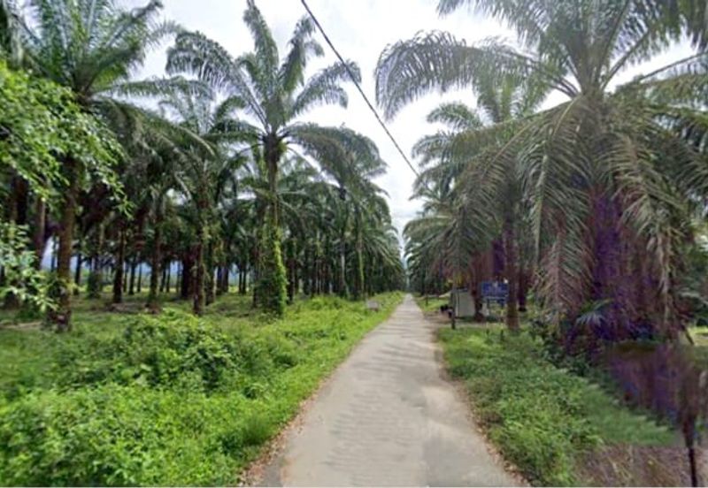 Selangor Hulu Selangor Bandar Hulu Bernam Tanjung Malim 802 acres CONVERTED Mixed Deverlopment Land for SALE‼️