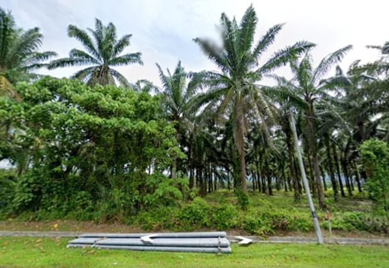 Selangor Hulu Selangor Bandar Hulu Bernam Tanjung Malim 802 acres CONVERTED Mixed Deverlopment Land for SALE‼️