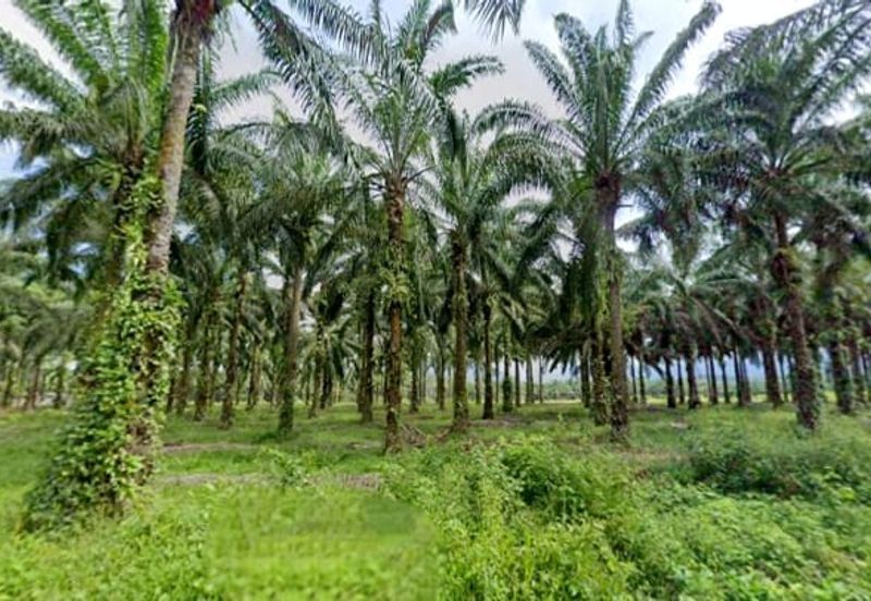 Selangor Hulu Selangor Bandar Hulu Bernam Tanjung Malim 802 acres CONVERTED Mixed Deverlopment Land for SALE‼️