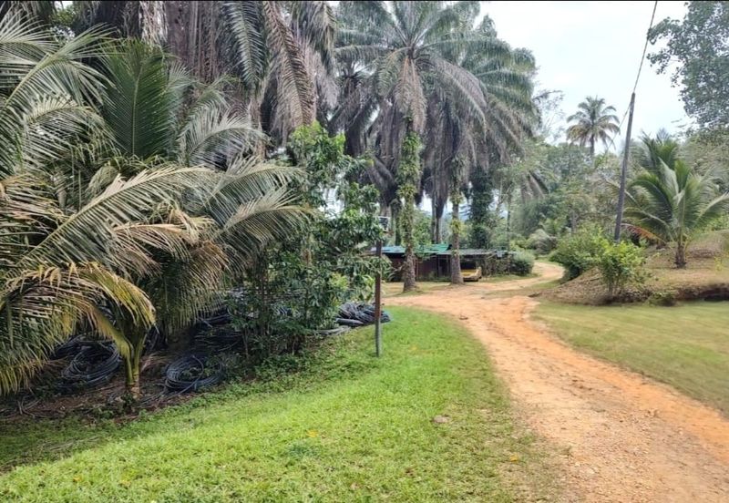 Selangor Hulu Selangor Bandar Hulu Bernam Tanjung Malim 802 acres CONVERTED Mixed Deverlopment Land for SALE‼️