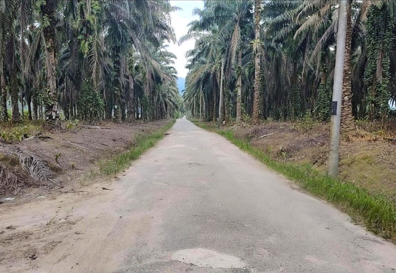 Selangor Hulu Selangor Bandar Hulu Bernam Tanjung Malim 802 acres CONVERTED Mixed Deverlopment Land for SALE‼️