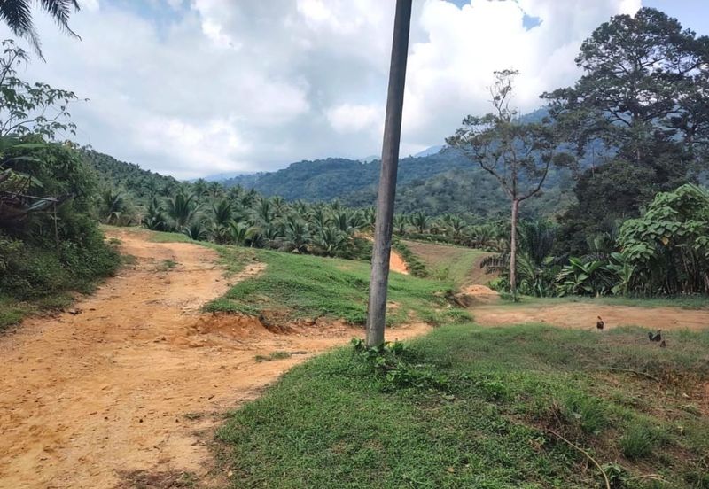 Selangor Hulu Selangor Bandar Hulu Bernam Tanjung Malim 802 acres CONVERTED Mixed Deverlopment Land for SALE‼️