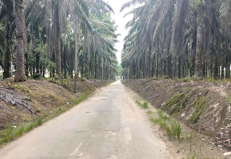 Selangor Hulu Selangor Bandar Hulu Bernam Tanjung Malim 802 acres CONVERTED Mixed Deverlopment Land for SALE‼️