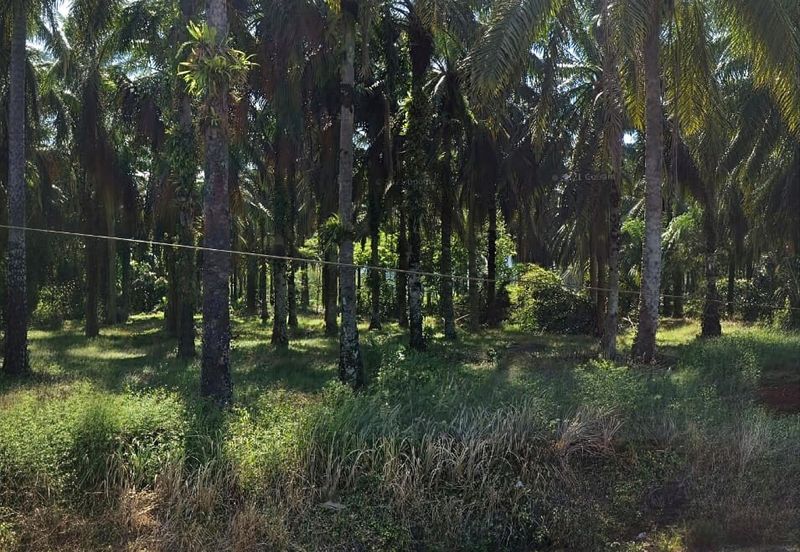 Selangor Hulu Selangor Bandar Hulu Bernam Tanjung Malim 802 acres CONVERTED Mixed Deverlopment Land for SALE‼️