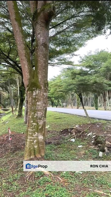 Johor Pontian Pekan Nanas 26 Acres Zoning Residential Land for SALE , Johor, Pontian