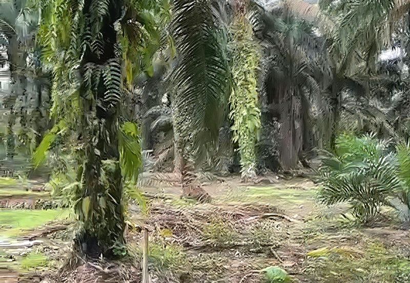 Johor Pontian Pekan Nanas 26 Acres Zoning Residential Land for SALE 