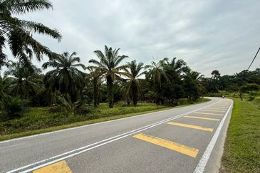 Johor Pontian Pekan Nanas 26 Acres Zoning Residential Land for SALE 