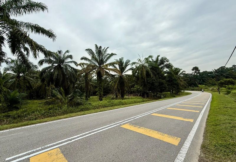 Johor Pontian Pekan Nanas 26 Acres Zoning Residential Land for SALE 