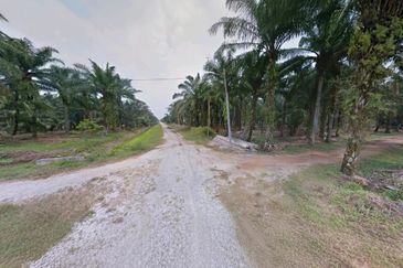 Selangor Kuala Langat Tanjong DuaBelas Jenjarom 仁嘉隆 43.8 Acres Mixed Development Land for SALE‼️