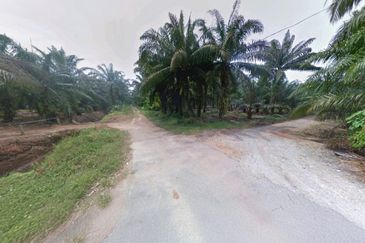 Selangor Kuala Langat Tanjong DuaBelas Jenjarom 仁嘉隆 43.8 Acres Mixed Development Land for SALE‼️