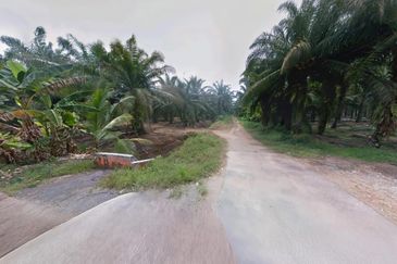 Selangor Kuala Langat Tanjong DuaBelas Jenjarom 仁嘉隆 43.8 Acres Mixed Development Land for SALE‼️