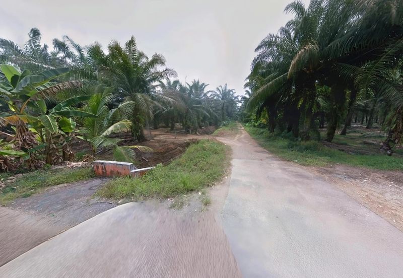 Selangor Kuala Langat Tanjong DuaBelas Jenjarom 仁嘉隆 43.8 Acres Mixed Development Land for SALE‼️